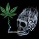 Illustration for article titled Scientists Found a Compound That Keeps Marijuana From Getting You High